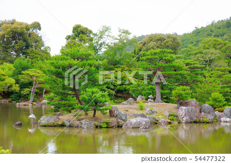 Japanese garden 54477322