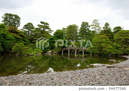 日本庭園 54477566