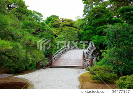 日本庭園 54477567