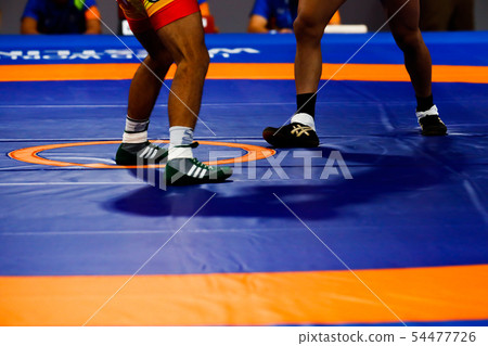 Wrestling Wrestling 54477726