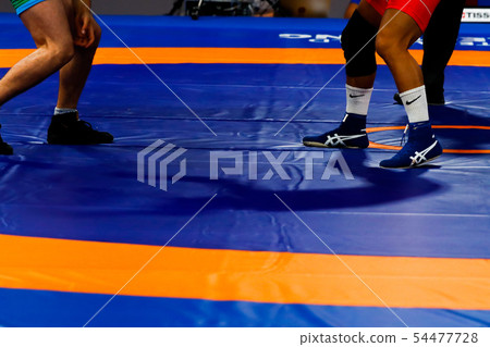 Wrestling Wrestling 54477728