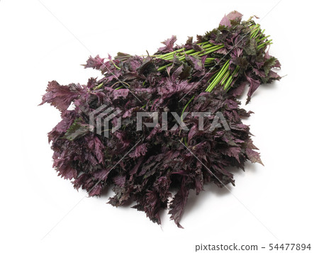 Red miso Aichi Japan Red miso Aichi Japan 54477894