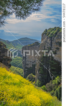 Meadow of yellow flowers in Meteora Meadow of yellow flowers in Meteora 54478117