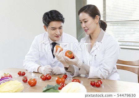 Research scientist concept, technicians working in laboratory 229 Research scientist concept, technicians working in laboratory 229 54479630