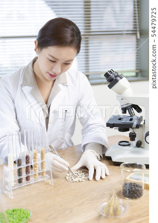 Research scientist concept, technicians working in laboratory 278 54479725