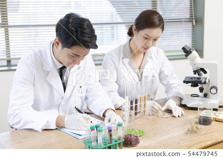 Research scientist concept, technicians working in laboratory 240 Research scientist concept, technicians working in laboratory 240 54479745