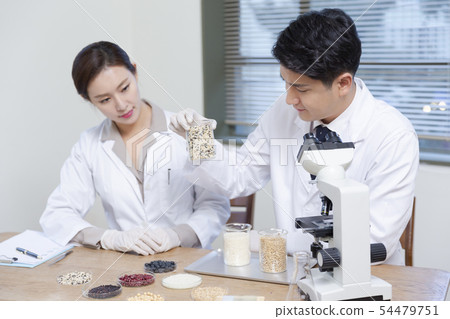 Research scientist concept, technicians working in laboratory 243 54479751