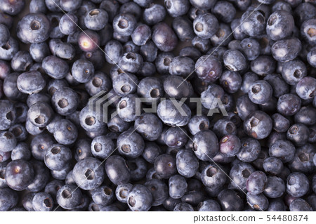 Assorted fresh berries, healthy lifestyle concept photo 001 54480874