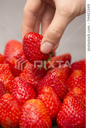 Assorted fresh berries, healthy lifestyle concept photo 078 54481049