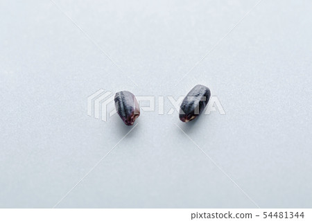 Assortment of Various grains and rice in bowls. 199 54481344