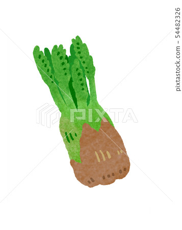 Tara bud taranome 54482326