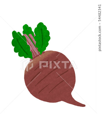 Beet table beet 54482341