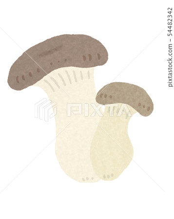 king oyster mushroom 54482342