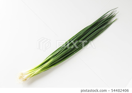 Leek 54482406