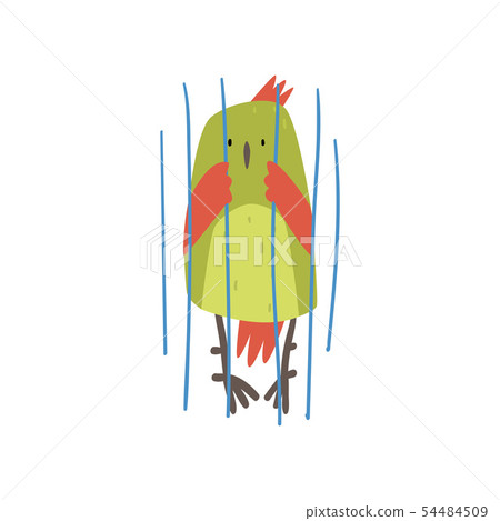 Cute Bird in Cage, Funny Birdie Cartoon Character with Bright Green Feathers in Captivity Vector Cute Bird in Cage, Funny Birdie Cartoon Character with Bright Green Feathers in Captivity Vector 54484509