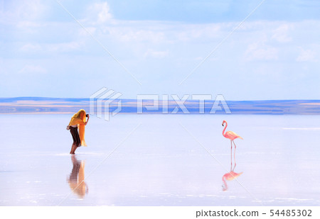 Girl taking pictures of flamingo in a salt lake Girl taking pictures of flamingo in a salt lake 54485302