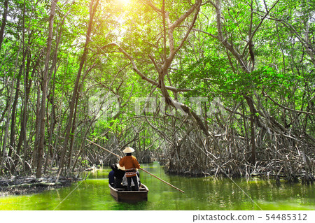 People boating in mangrove forest, Malaysia People boating in mangrove forest, Malaysia 54485312