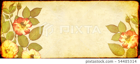Grunge background with paper texture and dried Grunge background with paper texture and dried 54485314