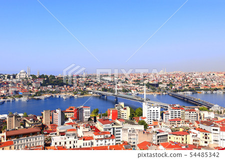 Aerial view on Istanbul and Bosphorus, Turkey 54485342