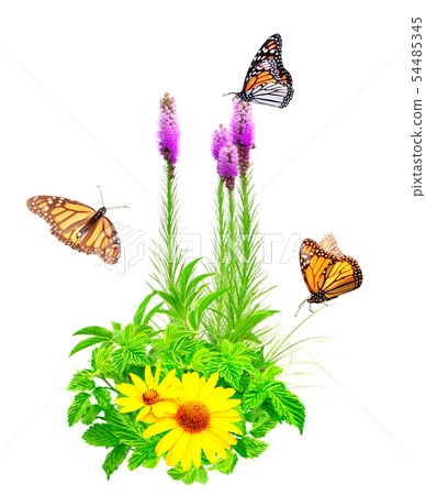 Summer flowers, green leaves and monarch 54485345