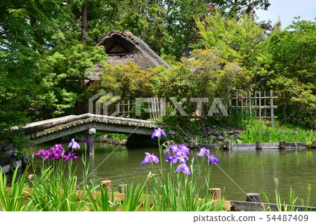 Umenomiya Taisha 54487409