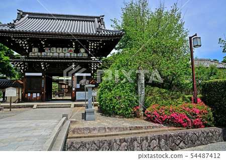 Umenomiya Taisha 54487412