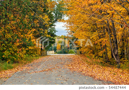 Driveway at autumn day, Maine, USA. Driveway at autumn day, Maine, USA. 54487444