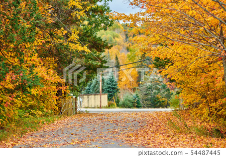 Driveway at autumn day, Maine, USA. Driveway at autumn day, Maine, USA. 54487445