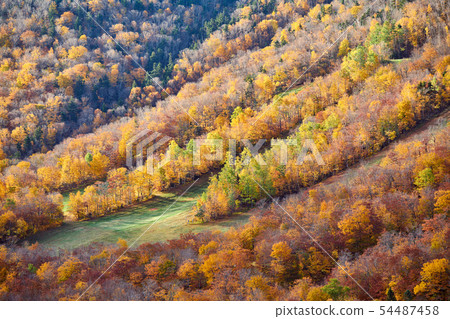 View from Artist's Bluff in autumn, New Hampshire View from Artist's Bluff in autumn, New Hampshire 54487458