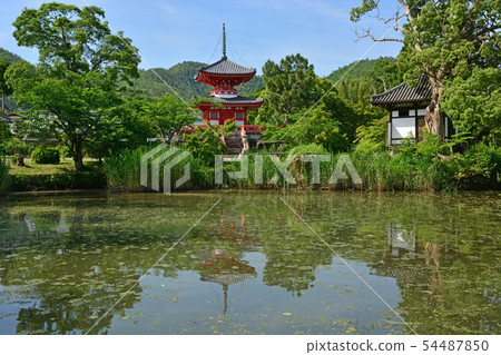 Daikaku-ji Temple Daikaku-ji Temple 54487850
