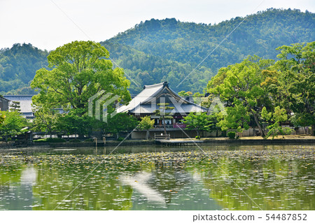 大角寺 54487852