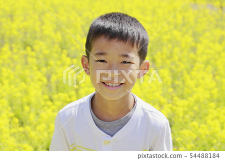 Elementary school student (4th grader) and rape blossoms 54488184