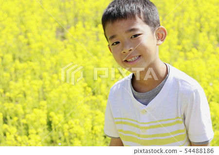 Elementary school student (4th grader) and rape blossoms 54488186