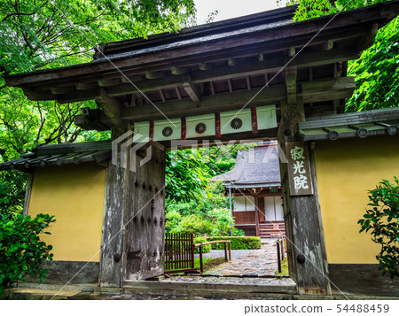 春天的京都祥子 54488459