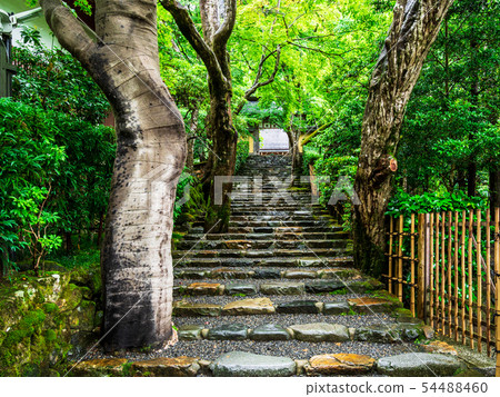 春天的京都祥子 54488460