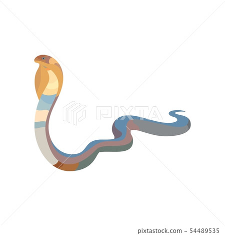 Cobra snake icon isolated on white background. Vector 54489535