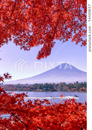 Kawaguchiko秋葉 54489657