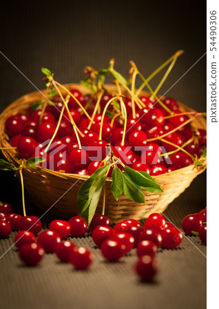 Healthy Organic Sour Cherries Healthy Organic Sour Cherries 54490306