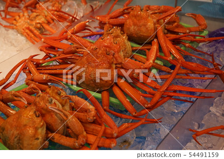 Red crimson Red crimson 54491159