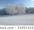Nozawaonsen ski area 54491324