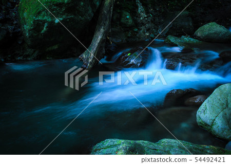 Mountain stream 54492421