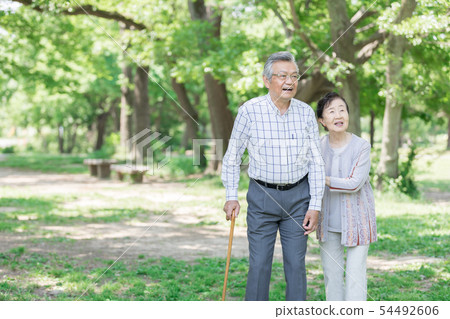 Senior image Senior image 54492606