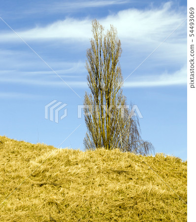 nature in the fall nature in the fall 54493069