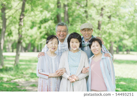 Senior image Senior image 54493251
