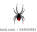 紅背蜘蛛 54493993