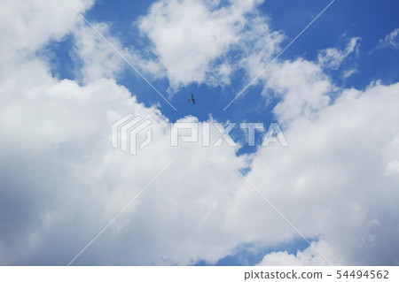 Small airplane flying between white clouds and blue sky Small airplane flying between white clouds and blue sky 54494562