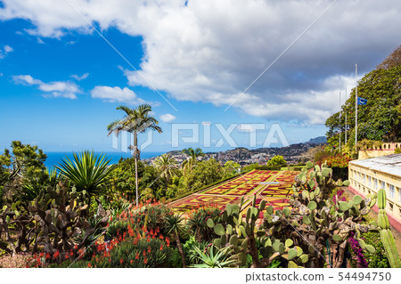 View to a garden in Funchal on the island Madeira, 54494750