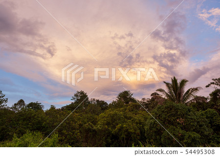 Tropical colorful vibrant sunset clouds and trees Tropical colorful vibrant sunset clouds and trees 54495308