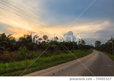 Small road on Malaysia countryside landscape Small road on Malaysia countryside landscape 54495327