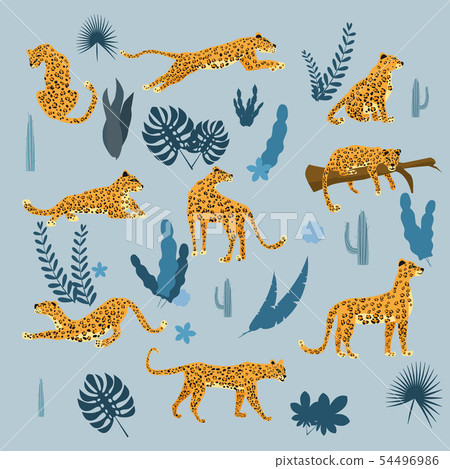 Set of leopards in various poses, plants, flowers, exotic, graphic cute trend style, mammal predator Set of leopards in various poses, plants, flowers, exotic, graphic cute trend style, mammal predator 54496986